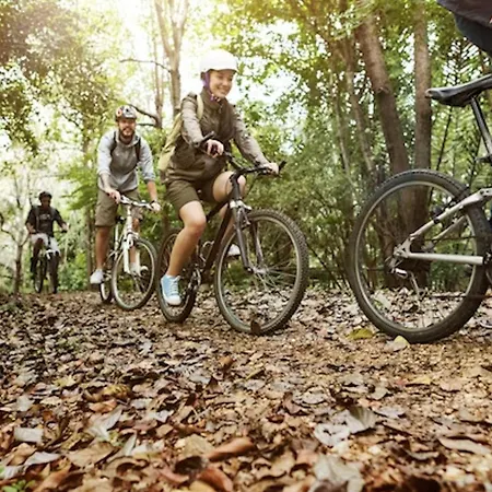 דירה Le Dimore Degli Ulivi