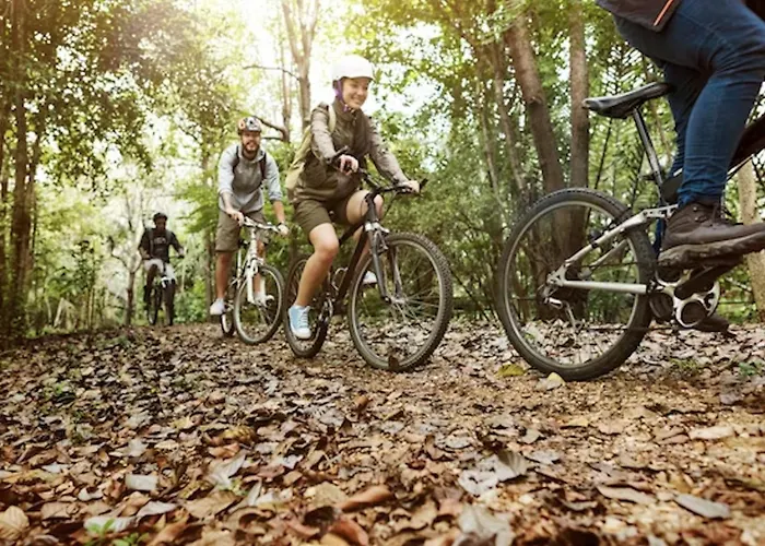 公寓 Le Dimore Degli Ulivi